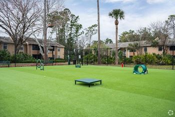 Dog Park at Lakeside Gardens, Daytona Florida 